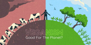 Is Veganism Truly Good For The Planet | Ăn Chay, Thuần Chay, Quán Chay & Nhà Hàng Chay