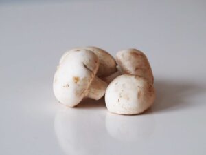 White Button Mushroom for Babies scaled 1