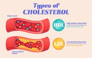 Cholesterol Knowledge Mar9 AM | Ăn Chay, Thuần Chay, Quán Chay & Nhà Hàng Chay