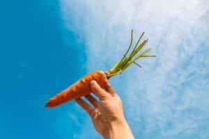 Cà rốt là một nguồn cung cấp beta carotene tuyệt vời.