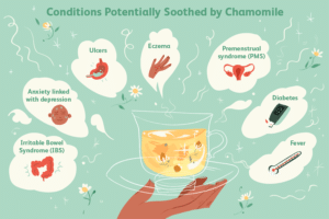 chamomile twt | Ăn Chay, Thuần Chay, Quán Chay & Nhà Hàng Chay