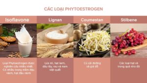 Một số loại thực phẩm có nguồn gốc từ thực vật chứa nhiều hợp chất được gọi là phytoestrogen.
