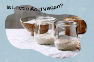 Axit lactic thường là thuần chay, tuy nhiên điều này không phải lúc nào cũng đúng vì nguồn của nó bao gồm sữa và thịt.