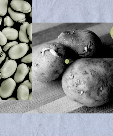 potatoes beans insulin resistance header 1024x575 1 | Ăn Chay, Thuần Chay, Quán Chay & Nhà Hàng Chay