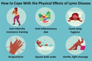 VWH Illustration How to Cope With the Physical Effects of Lyme Disease Illustrator Sydney Saporito Final e49b5e3ded744c348fc1f439f75504a4 1 | Ăn Chay, Thuần Chay, Quán Chay & Nhà Hàng Chay