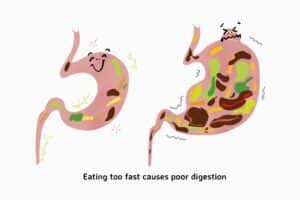 Ăn quá nhanh có thể gây cản trở quá trình tiêu hóa.