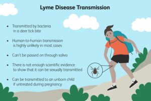 Bệnh Lyme mãn tính hoặc hội chứng bệnh Lyme sau điều trị (PTLDS) có thể do những bất thường trong quá trình miễn dịch và viêm nhiễm gây ra.