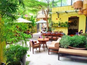chay garden vegetarian restaurant coffee 6 | Ăn Chay, Thuần Chay, Quán Chay & Nhà Hàng Chay
