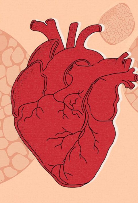 Một báo cáo khoa học được AHA công bố gần đây trên tạp chí Circulation của mình phát hiện ra rằng chế độ ăn kiêng chứa rất ít carb hoặc ketogenic được xếp hạng thấp nhất khi nói về lợi ích đối với sức khỏe tim mạch.