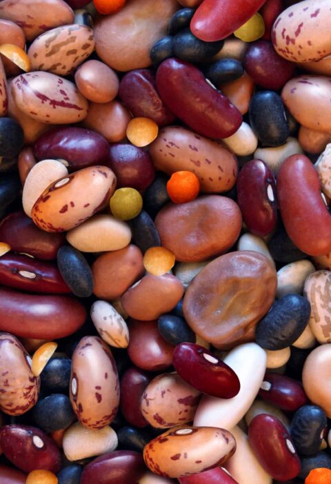 Beans Mixed Dry bigstock 136082984 scaled 1 | Ăn Chay, Thuần Chay, Quán Chay & Nhà Hàng Chay