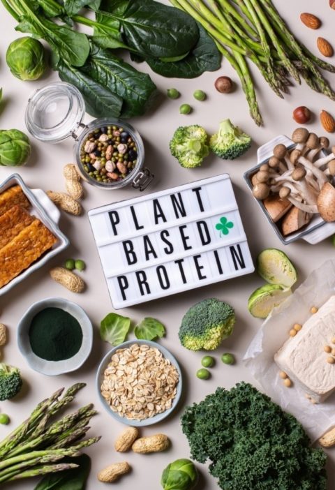 Một chế độ ăn giàu protein thực vật có thể giúp bạn khỏe mạnh lâu dài.